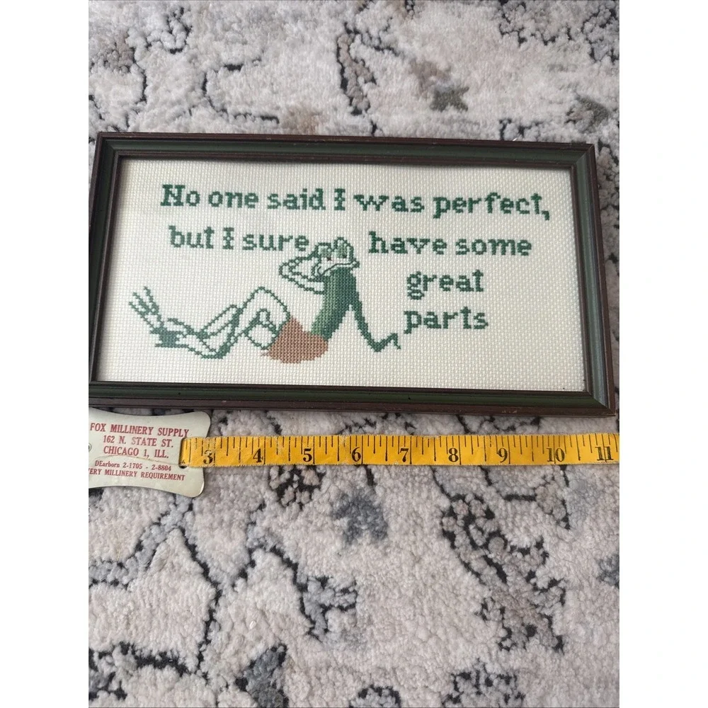 Humorous Framed Cross Stitch Quote Finished Wall Decor Art Sexy Toad